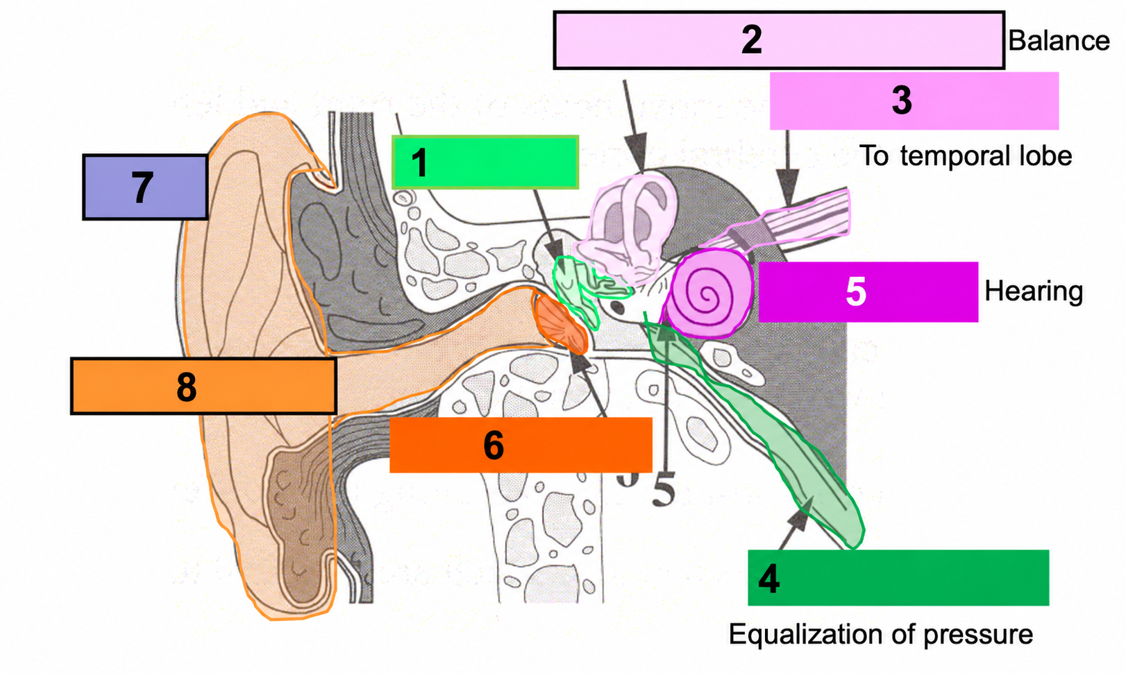 <p>1</p>