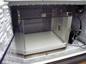 <p>audiogenic seizure test </p>