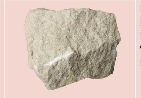 <p>SDMT</p>