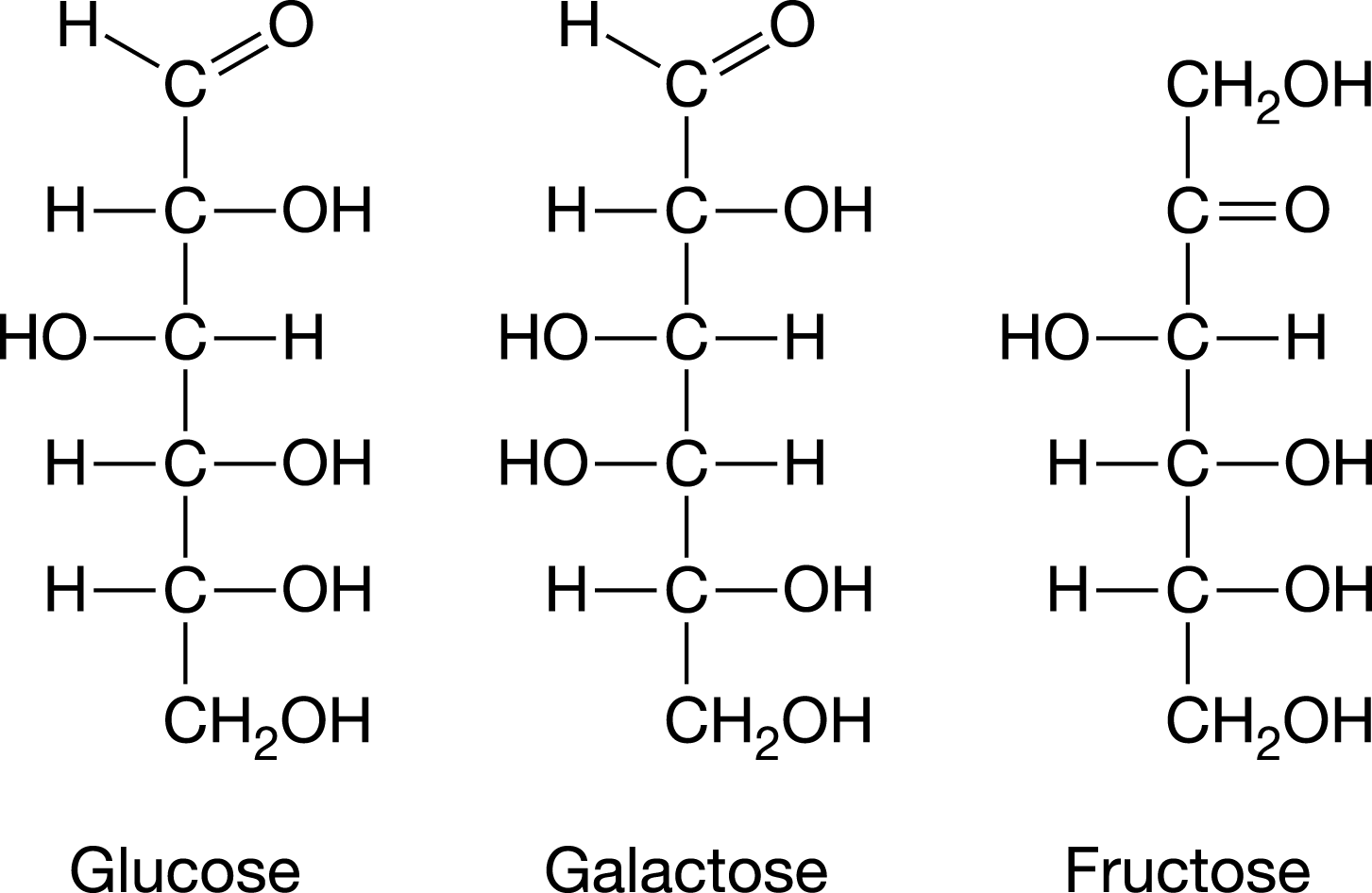 <p><span>The carbohydrates glucose, galactose, and fructose have the same chemical formula(C<sub>6</sub>H<sub>12</sub>O<sub>6</sub>) but different structural formulas, as represented in the figure. Which of the following statements about glucose, galactose, and fructose is most likely true?</span></p>