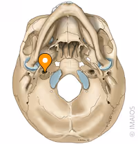 <p>what is highlighted here</p>