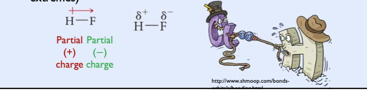 <ul><li><p>positive sign indicates partial positive charge and lower electron density</p></li><li><p>arrow represents a partial negative charge and larger electron density</p></li><li><p>A polar covalent bond has a positive pole and a negative pole.</p></li></ul><p></p>