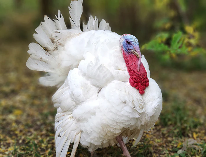 <p>identify</p>