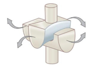 <p>ex: btwn trapezium carpal bone and 1st metacarpal bone</p>