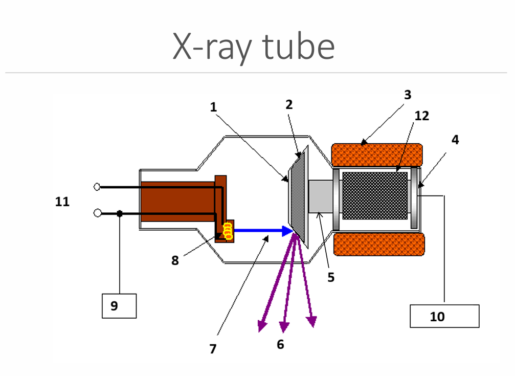 <p>What is 12?</p>