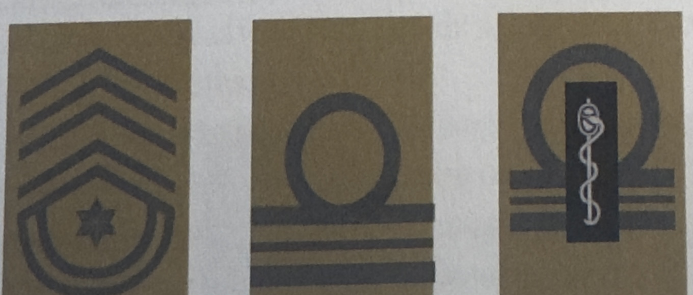 <p>Sous-Officiers supérieurs 7/7</p>