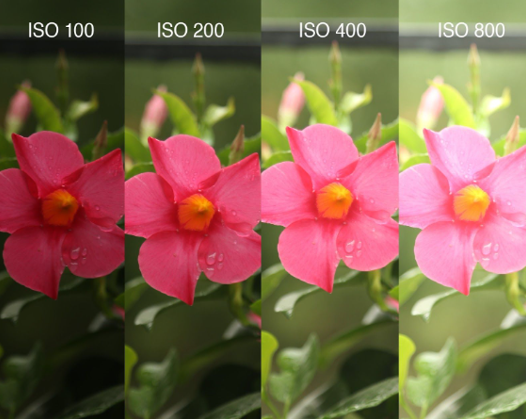 <p>A camera setting that control the sensor’s sensitivity to light - allows photos to be taken in varying lighting conditions</p><ul><li><p>A higher ISO number makes the sensor MORE sensitive to light</p><ul><li><p>Low light environment = use higher ISO #</p></li><li><p>Bright environment = use lower ISO #</p></li></ul></li><li><p>Higher ISO numbers can cause photos to have more “noise” - they will look blurry or grainy</p></li><li><p>The DCS5 has ISO presets for different lighting conditions…</p><ul><li><p>Visual = 200, Fluorescent = 500, UV = 800, IR = 200</p></li></ul></li></ul><p></p>