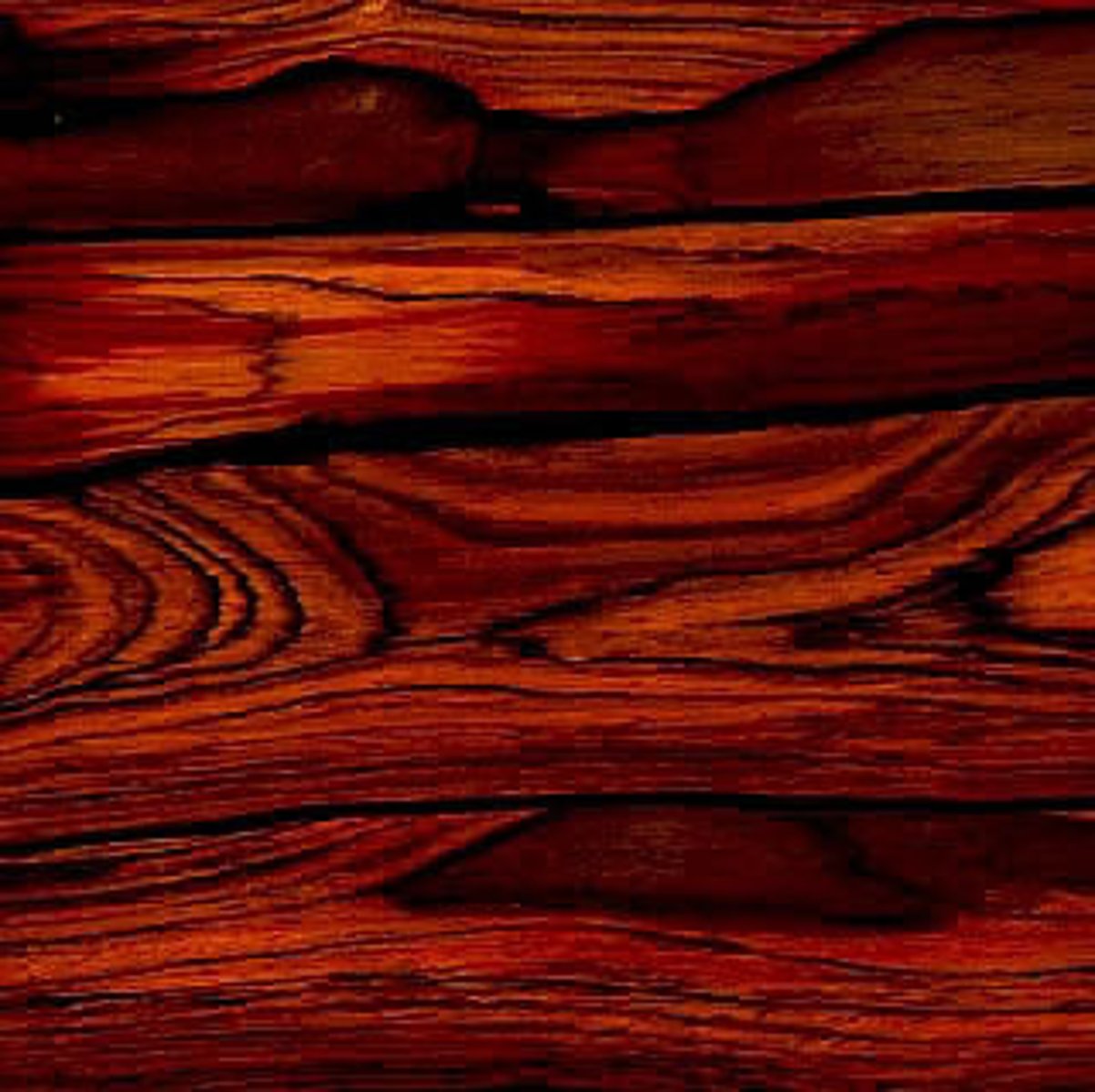 <p>la palissandre, le bois de rose</p>
