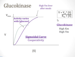<p>High Km: </p><p>- Glucokinase doesn't bind glucose very well when glucose levels are low.</p><p>- It becomes much more active when there's lots of glucose around, like after a meal</p><p>High Vm:</p><p>- Once glucose is abundant, glucokinase can process large amounts of glucose quickly.</p>