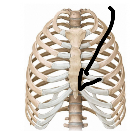 <p>What structure is this?</p>
