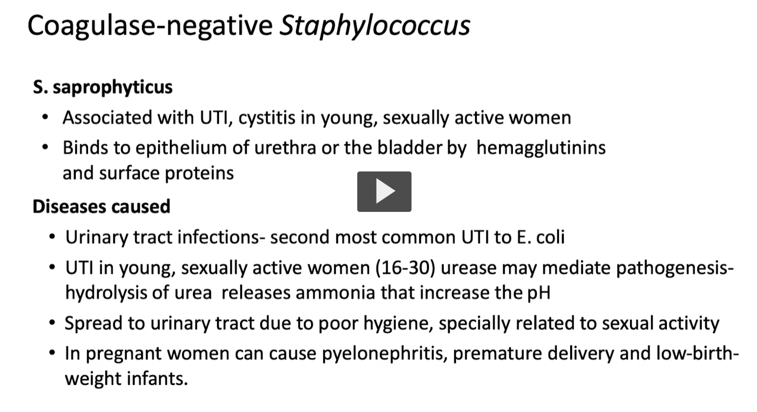 <ul><li><p><strong>“strepto-”</strong> → from Greek <em>streptos</em> = <strong>“twisted” or “chain-like”</strong></p></li><li><p><strong>“-coccus”</strong> → from Greek <em>kokkos</em> = <strong>“berry” or “round”</strong></p></li></ul><p><span data-name="point_right" data-type="emoji">👉</span> <strong>Streptococcus = “chains of round (spherical) bacteria”</strong></p><div data-type="horizontalRule"><hr></div><p><strong>Definition</strong></p><p><strong>Streptococcus</strong> is a genus of <strong>Gram-positive, spherical (cocci) bacteria</strong> that:</p><ul><li><p>Grow in <strong>chains or pairs (diplococci)</strong></p></li><li><p>Are <strong>catalase-negative</strong> (key distinction from Staphylococcus)</p></li><li><p>Are <strong>non-motile</strong> and <strong>non–spore forming</strong></p></li><li><p>Often live in the:</p><ul><li><p><strong>Respiratory tract</strong></p></li><li><p><strong>Gastrointestinal tract</strong></p></li></ul></li></ul><div data-type="horizontalRule"><hr></div><p><span data-name="microscope" data-type="emoji">🔬</span> <strong>Key Characteristics (from your slide, explained)</strong><span data-name="purple_circle" data-type="emoji">🟣</span> <strong>Gram-positive cocci</strong></p><ul><li><p>Thick peptidoglycan → stain <strong>purple</strong></p></li></ul><p></p>