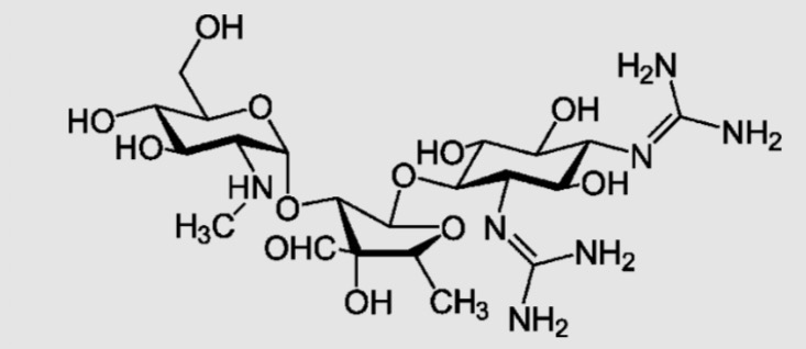 <ul><li><p>amminooligosaccaridi</p><ul><li><p>streptomicina</p></li><li><p>gentamicina</p></li></ul></li></ul><p></p>