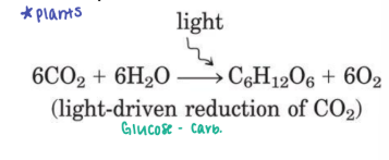 <p><strong><em>Extracting Energy for Dynamic Steady State </em></strong></p><p><strong><em>This is the process for ______</em></strong></p>