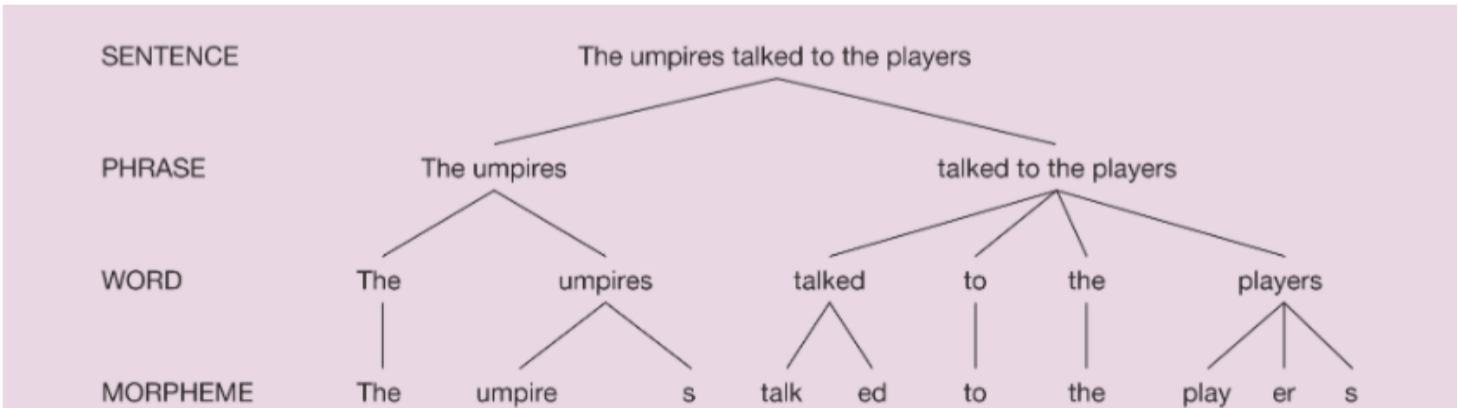<p>the smallest unit of meaning in language</p>