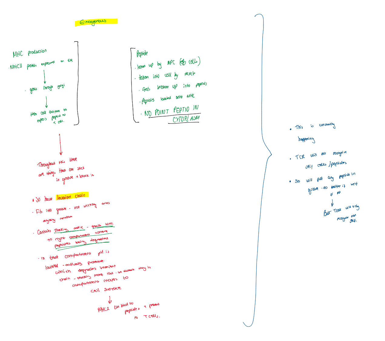 knowt flashcard image