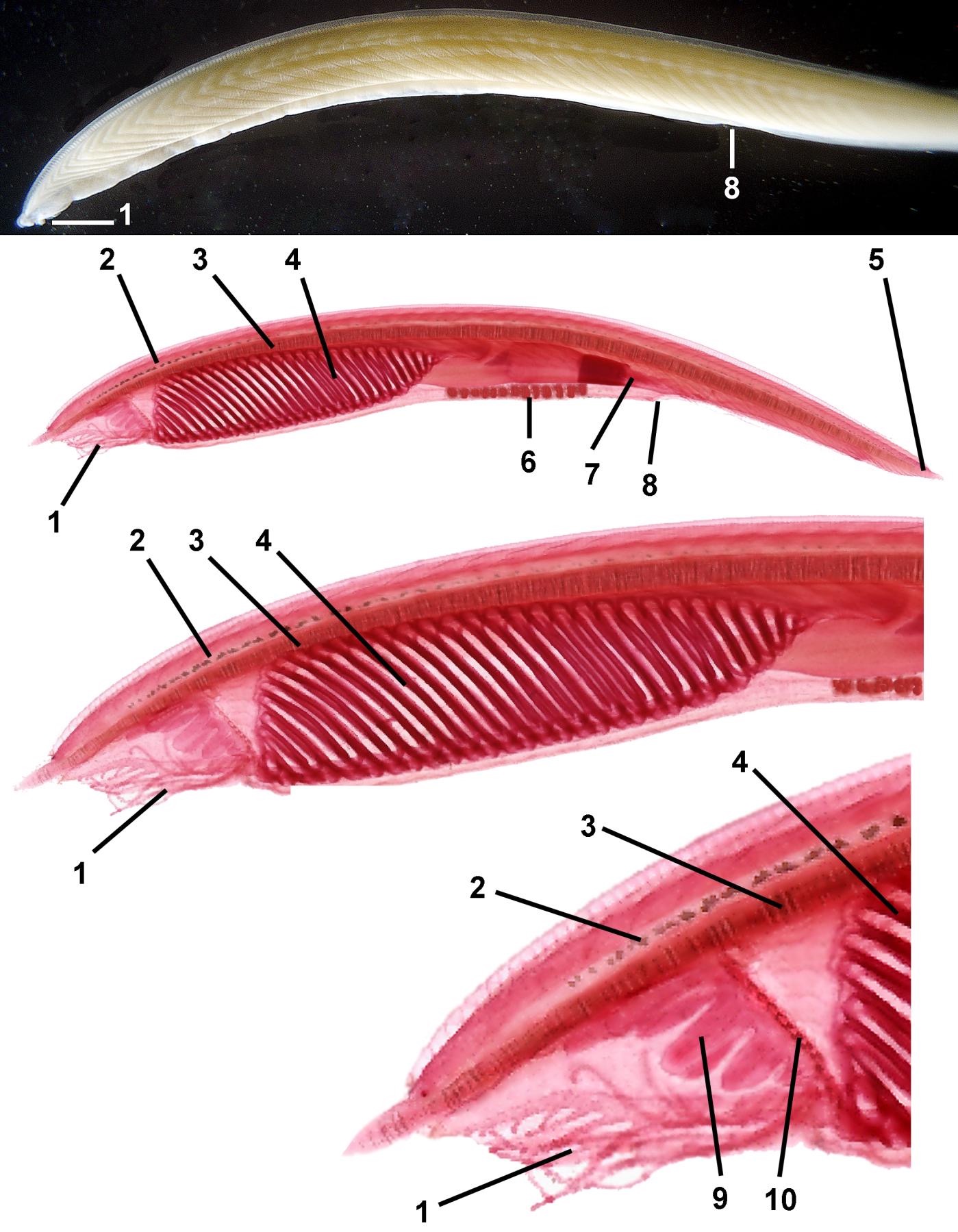 <p>Who is this and its parts?</p>