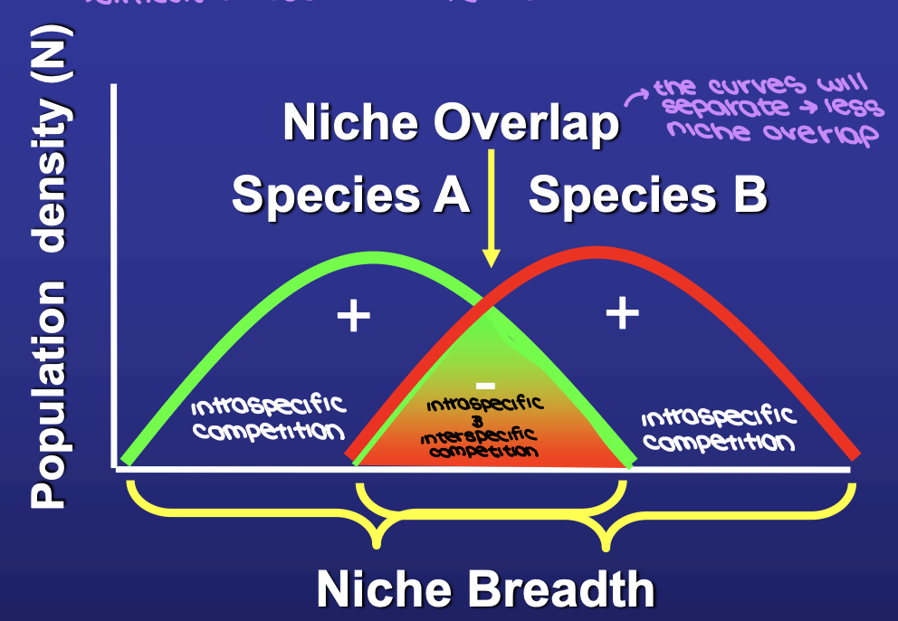 <p><span style="background-color: transparent;">ghost of competition past → past competition has led to niche diversification</span></p>