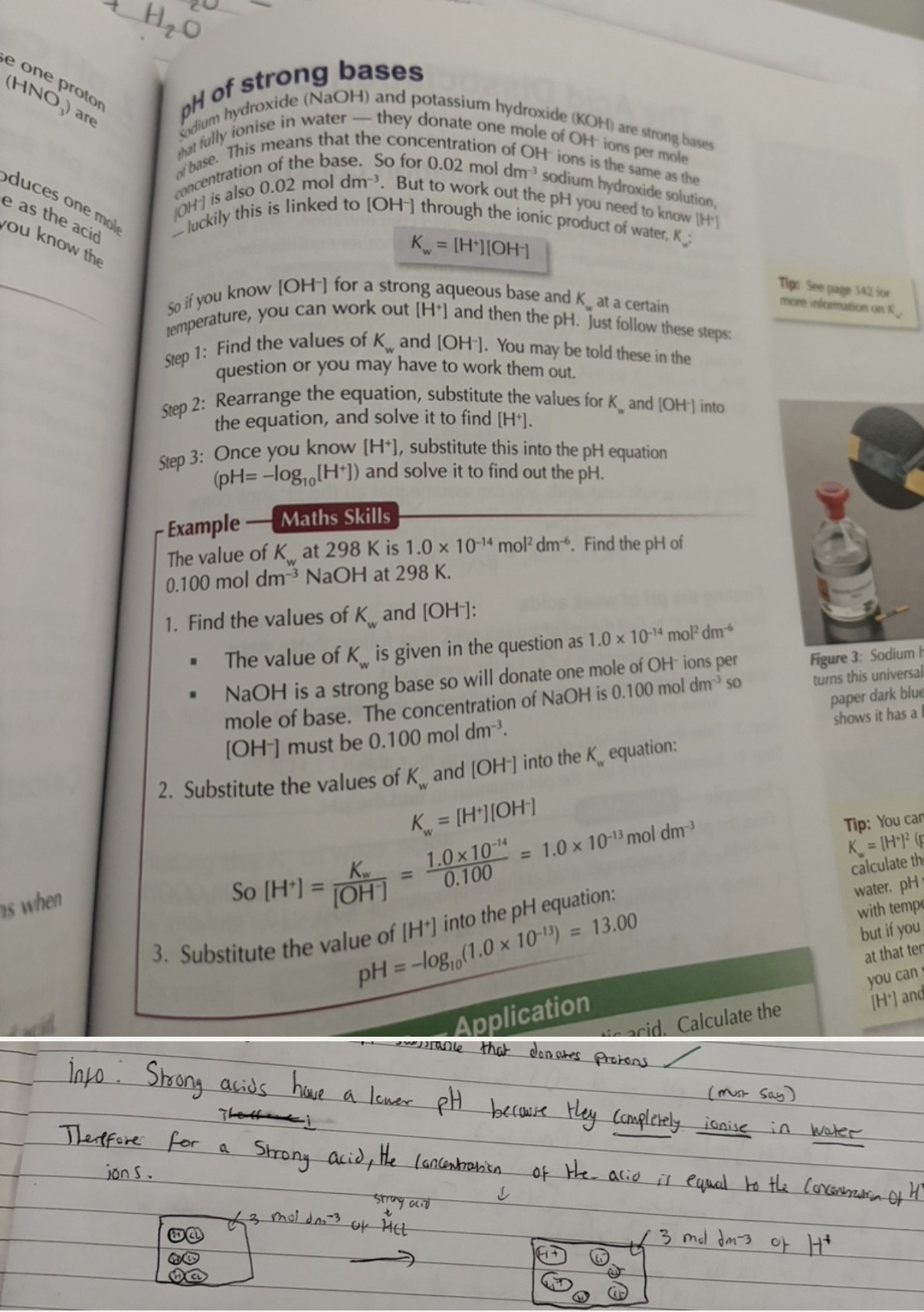 <ol><li><p>Strong acids have a lower pH because they <strong>completely ionize</strong> in <strong>water</strong>.(must say the ones in bold)</p></li><li><p>The [H+]-hydrogen ion concentration</p></li></ol><p></p>