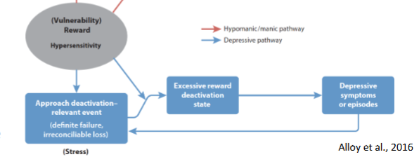 <p>excessive deactivation of reward pathway => producing depressive state</p>