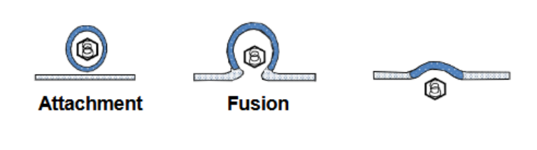 <p>Describe fusion entry </p>