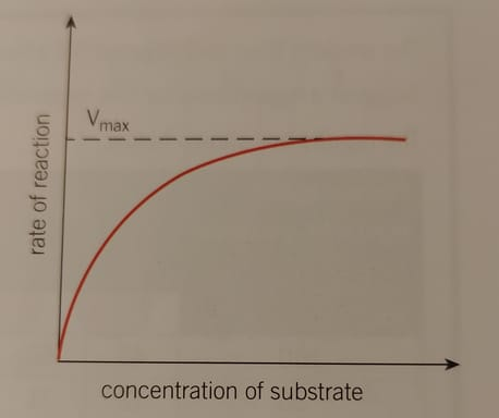 <p>…</p>
