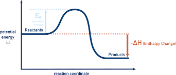 <p>What type of reaction is shown in this diagram?</p>