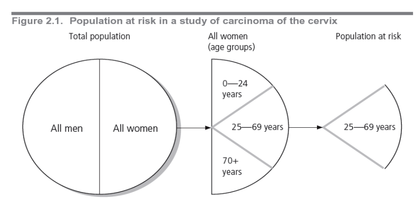 <ul><li><p>Group of people we are interested in studying in our research </p></li><li><p>Should only include people who are <em>potentially susceptible to the disease</em> being studied (e.g. Not all women, only women 25-69 as they are at risk)</p></li><li><p>Can be defined by demographic (age, gender, socioeconomic status), geographic or environmental factors</p></li><li><p>E.g. Occupational injuries = workforce</p></li></ul><p></p>