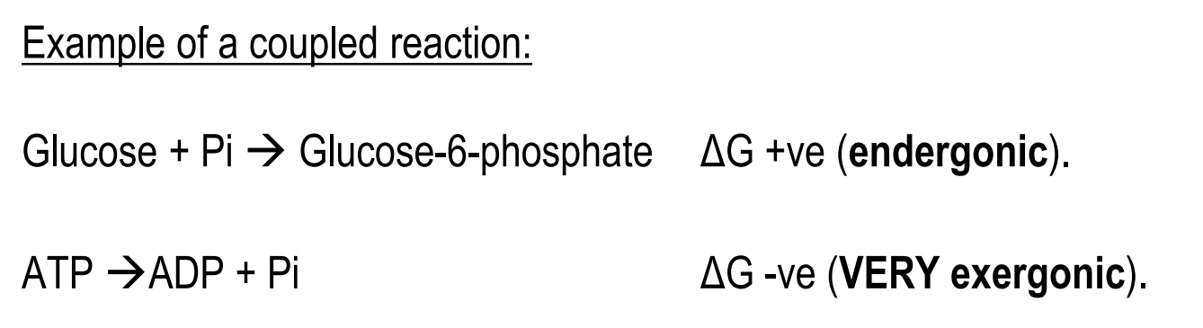 <ul><li><p>Chemical coupling of exergonic and endergonic reactions allows otherwise unfavourable reactions to take place.</p></li><li><p>The “high-energy ” molecule (ATP) reacts directly with the metabolite that needs “activation.”</p></li><li><p>The final reaction will be: Glucose + ATP → GLU 6-P + ADP (deltaG = 13.8 + (-30.5) = -ve </p><ul><li><p>The energy requiring reaction harnesses the energy from the energy releasing reaction </p></li></ul></li></ul><p></p>