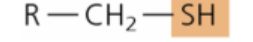<p>Identify the functional group of the structure</p>