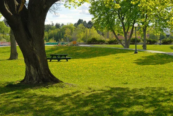 <p>der park</p>