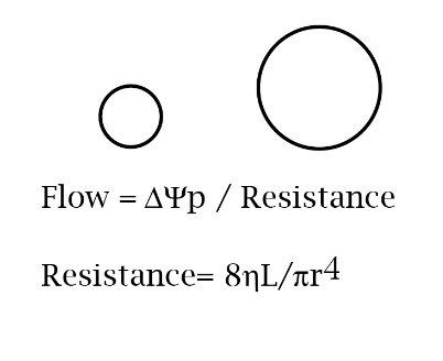 <p>The rate of flow would increase by 16x because 2<sup>4</sup> = 16</p>