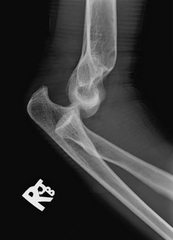 <p>What is this image showing?</p>
