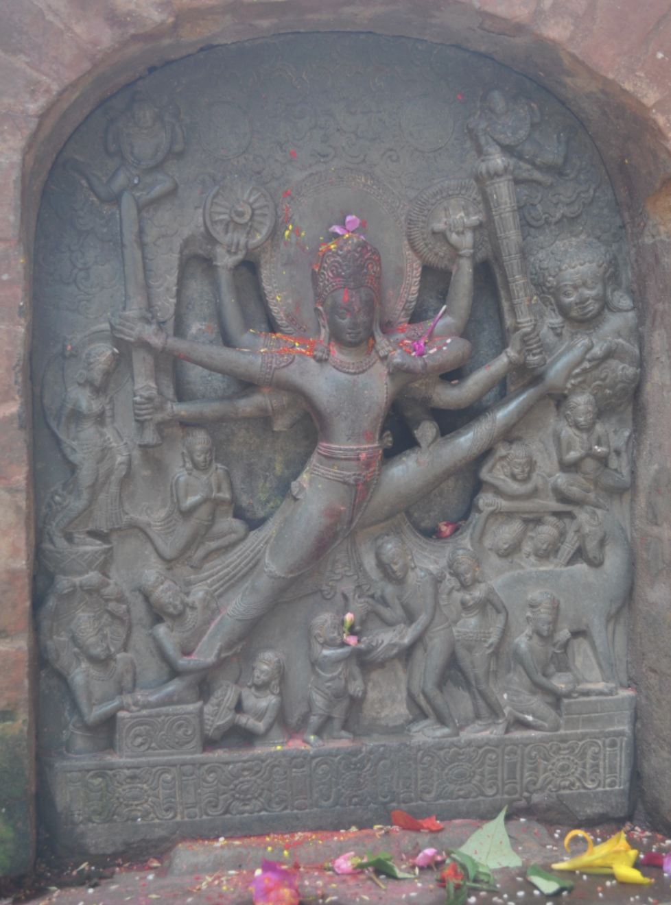 knowt flashcard image