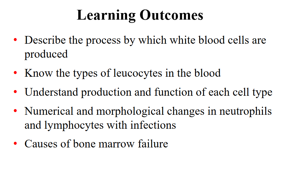 <p>Learning Outcomes</p>