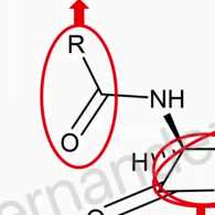 <p>Acyl connected amino (which is also attached to the beta-lactam ring ATTACHED WITH BULKY GROUP</p>