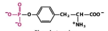 <p>What structure is this?</p>