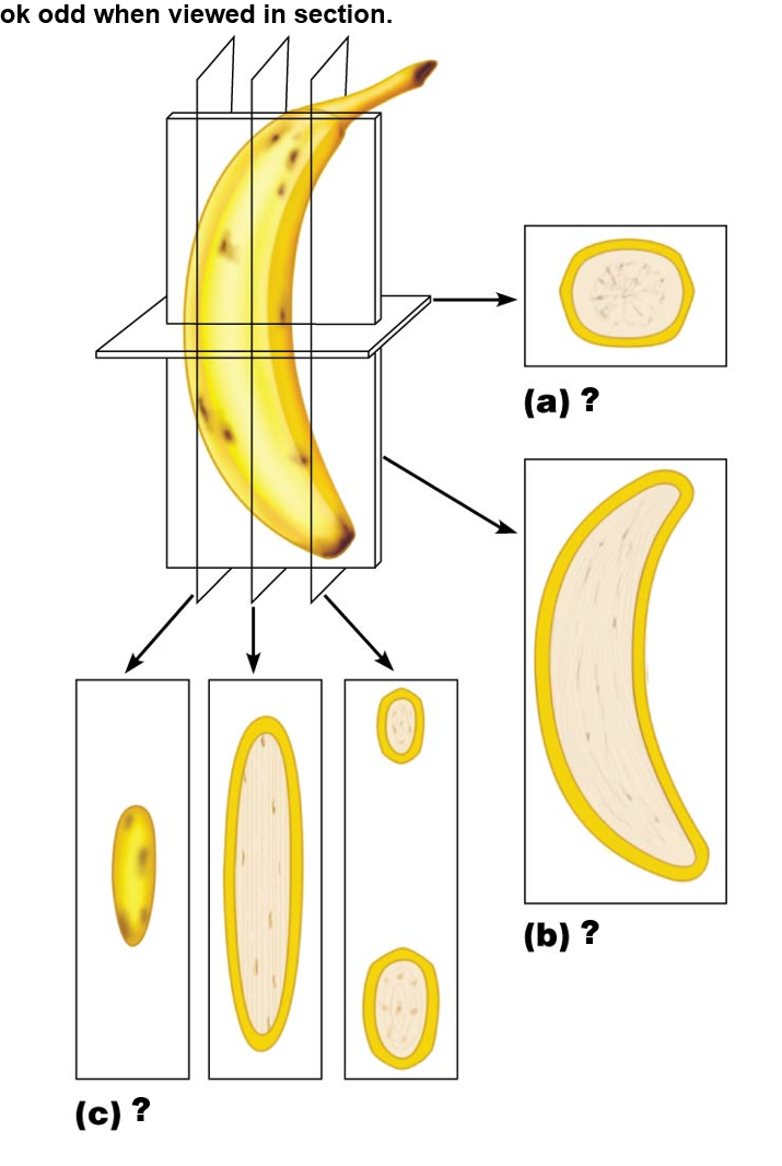 <p>b</p>