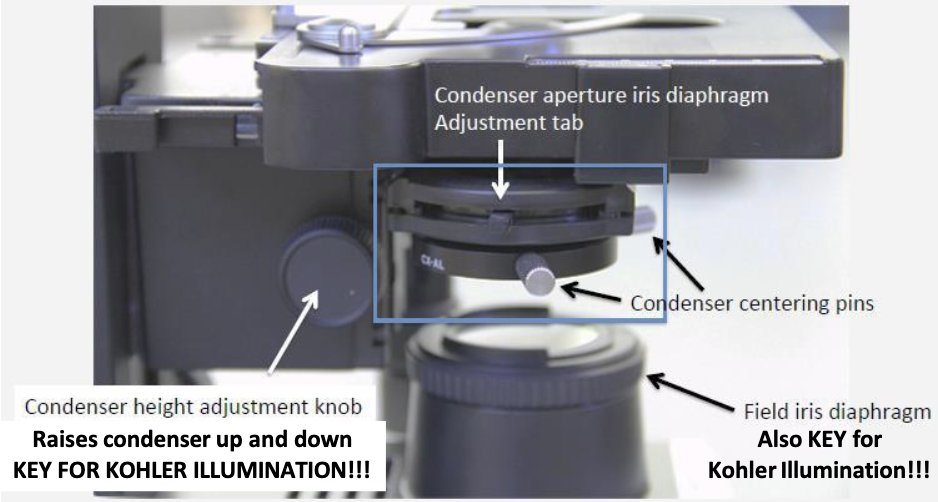 <p><strong>→ Control the </strong><span style="color: blue;"><strong>horizontal position</strong></span><strong> of the condenser/light beam</strong> so the illumination is <strong>centered in your field of view</strong></p>