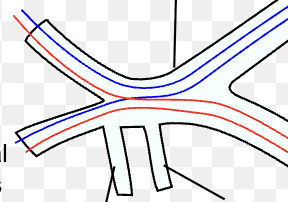 <p>Spinal Nerves</p>