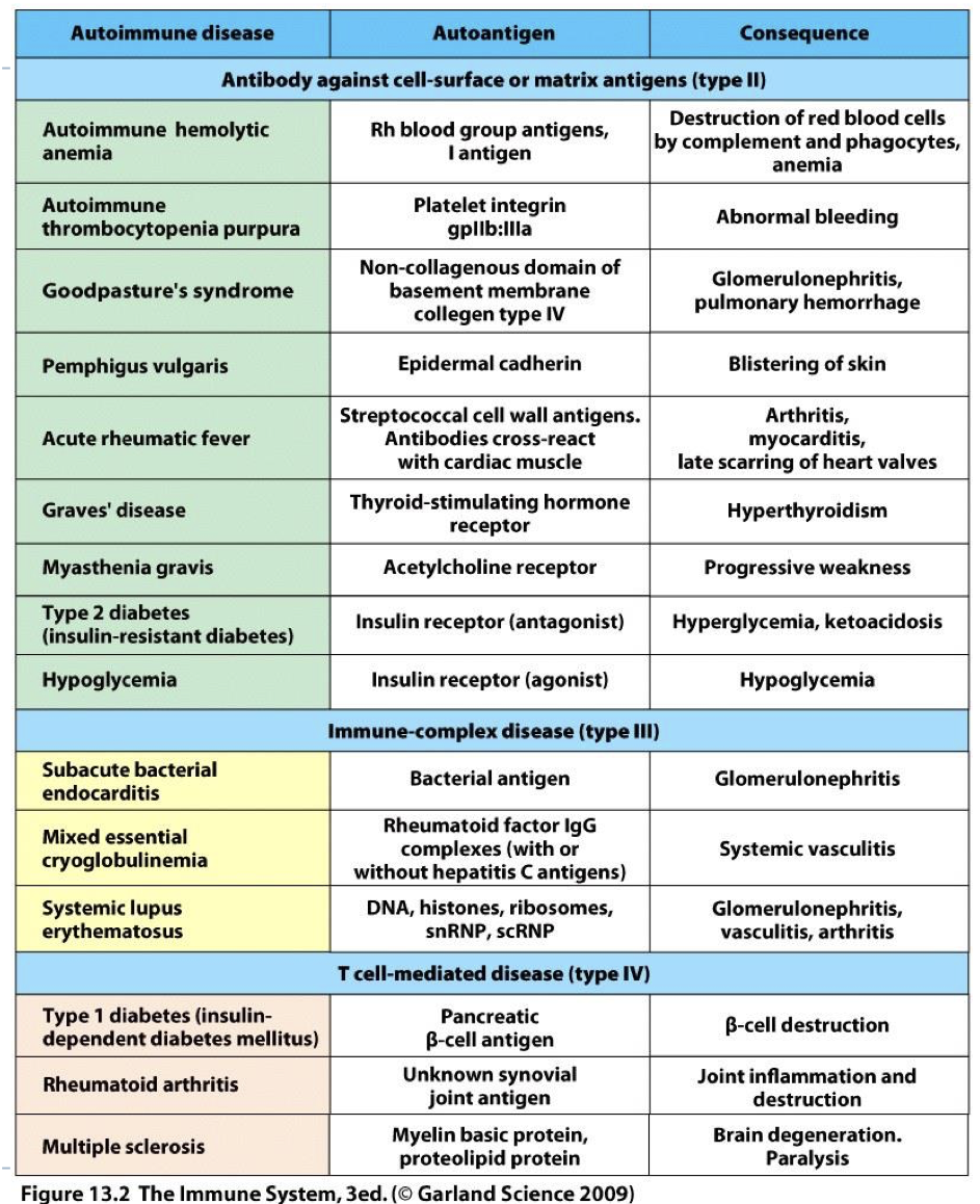 <p>fall into 3 categories that parallel hypersensitivity classification by mechanism (II, III, IV). </p>