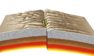 <ul><li><p>curved fracture zones</p></li><li><p>shallow earthquakes → lateral fault movement</p></li><li><p>2 types:</p><ul><li><p>lateral offset of mid-ocean ridges</p></li><li><p>continental transform fault</p></li></ul></li></ul><p></p>