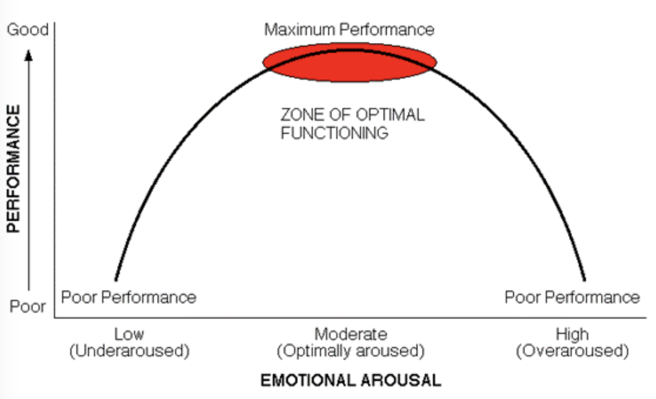 <p>Zone of optimal functioning </p>