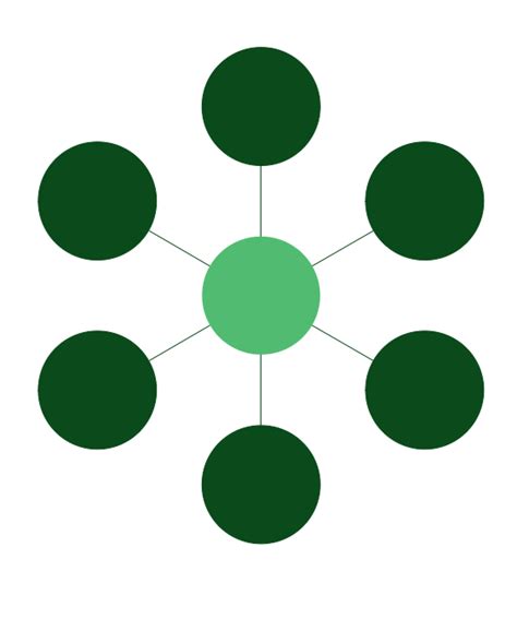 <p>Star Topology</p>