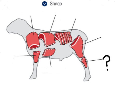 <p>What is this cut of meat?</p>