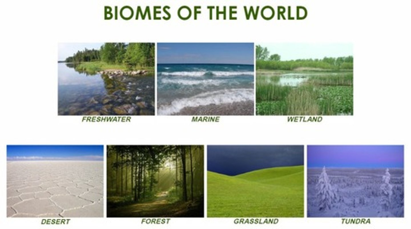 <p>A large area of Earth with similar climate, plants, and animals.</p>