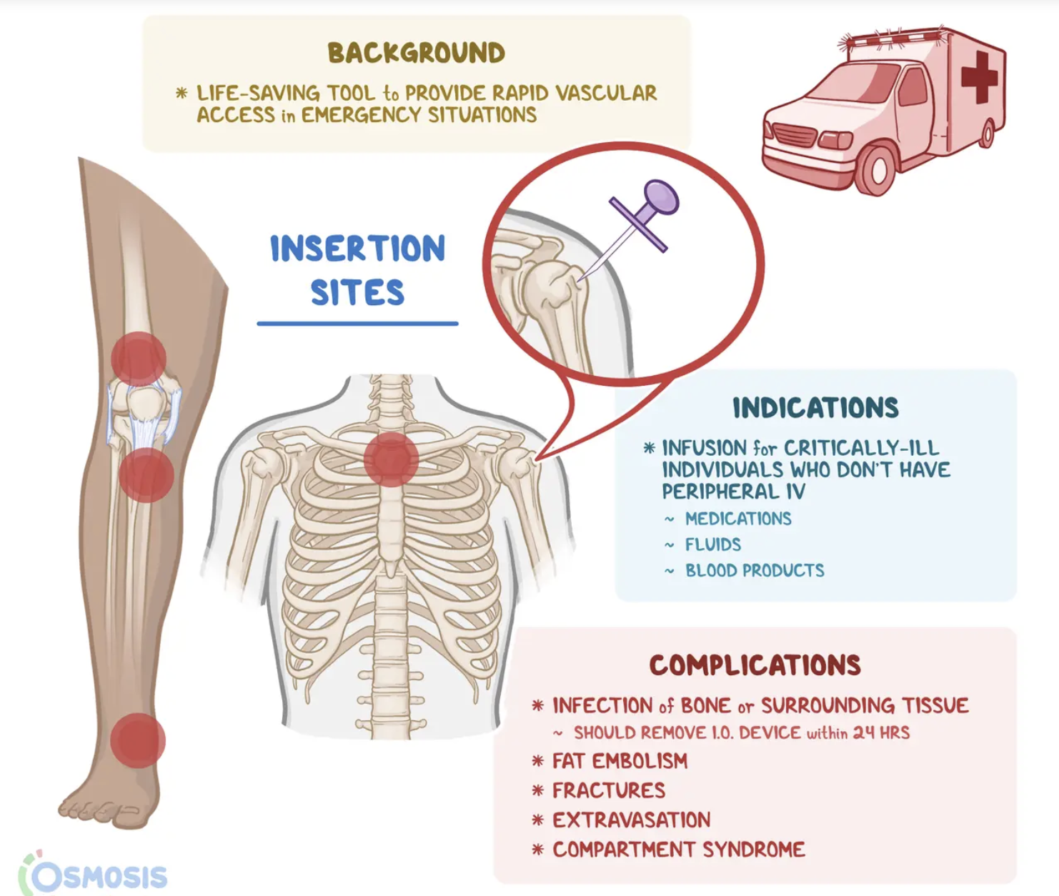 <ol><li><p>proximal end of tibia (under knee)</p></li><li><p>medial distal end of tibia</p></li><li><p>Distal femur (above knee)</p></li></ol><p></p>