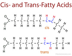 <p>have kinks that cause the hydrocarbon tails to bend</p><p>- as a result, they do not pack tightly</p>