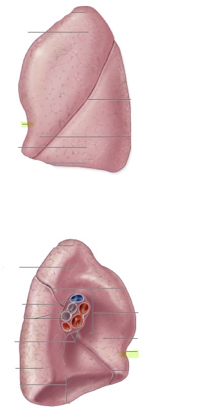 <p>what is this </p>