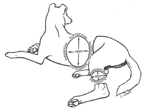 <p>Which planes are being shown?</p>