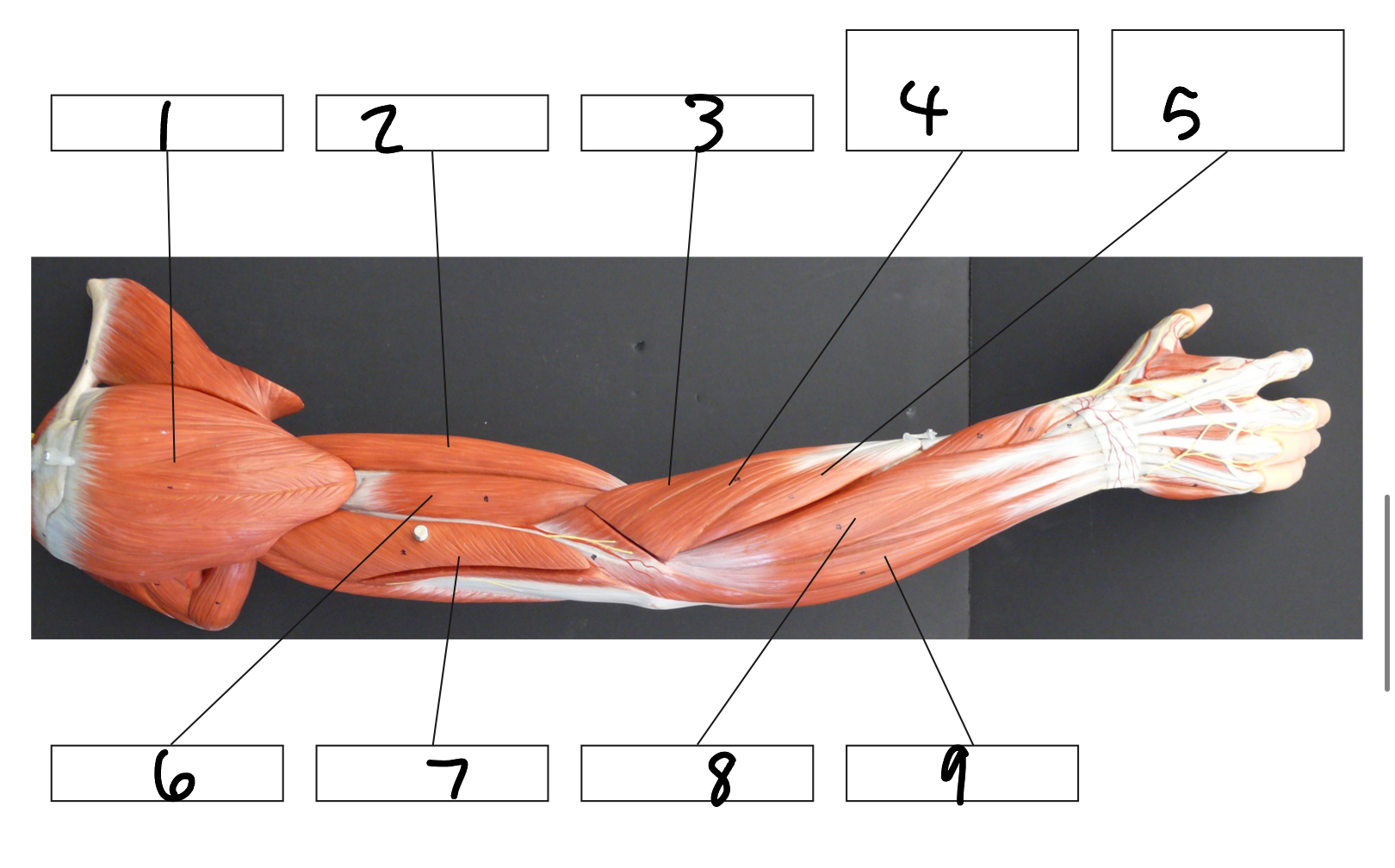 <p>2</p>